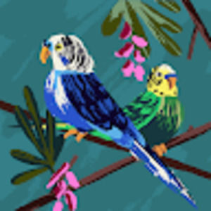 Meet your Posher, Yaneth